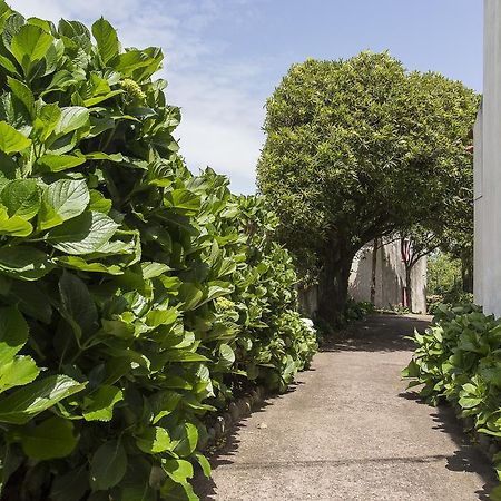 Casa Do Maranhao - Nature & Views Experience Capelas Εξωτερικό φωτογραφία